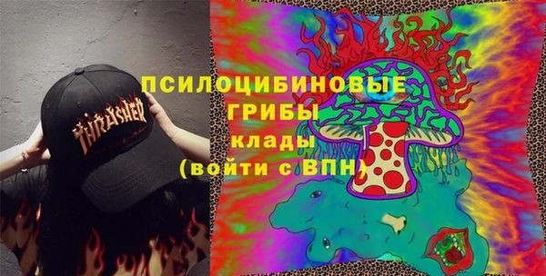 соль ск Балахна